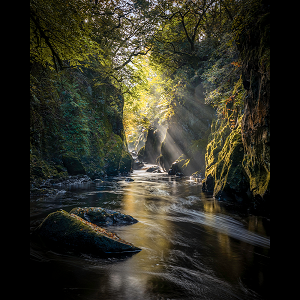 Beautiful sunrays at Fairy Glen gorge in Betws y Coed in the Eryri / Snowdonia National Park, Wales.